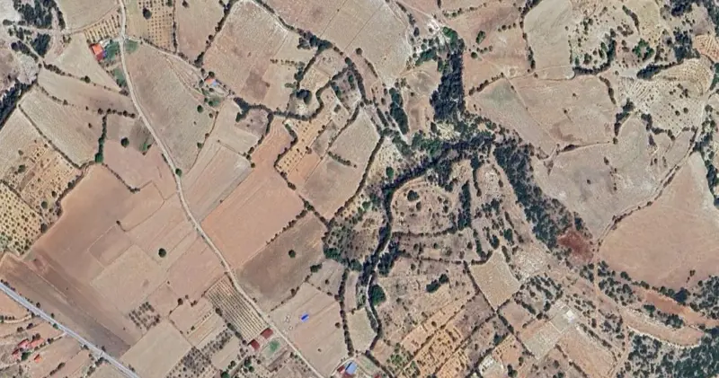 987.jpg