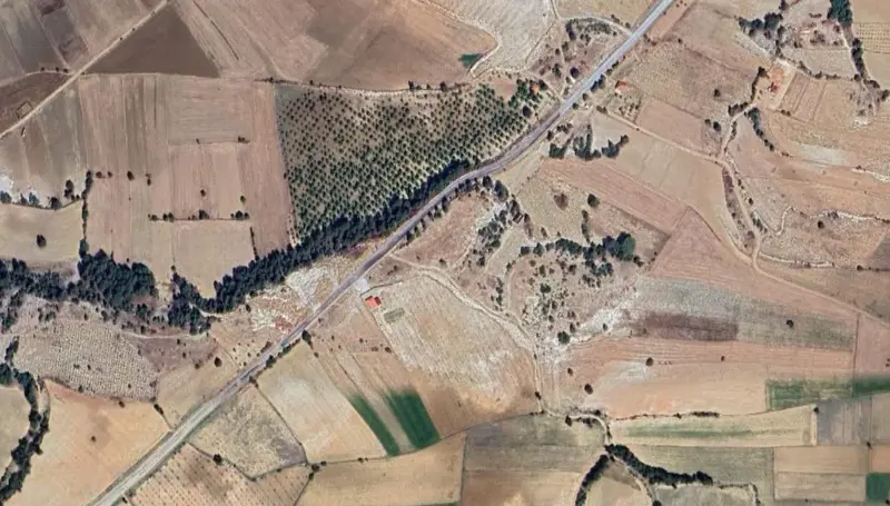 238.jpg