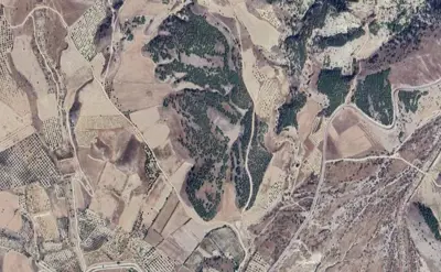 Denizli, Pamukkale, Satılık, Tarla