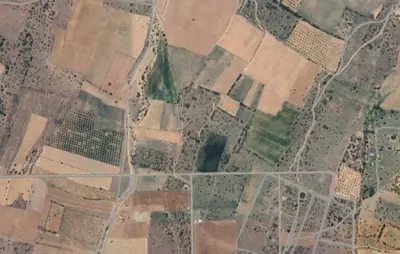Denizli, Karahisar, Tarla