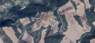 Denizli, Pamukkale, Satılık, Tarla