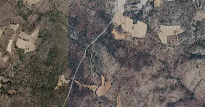 Denizli, Bekilli, Satılık, Tarla