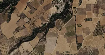 Denizli, Çal, Satılık, Tarla