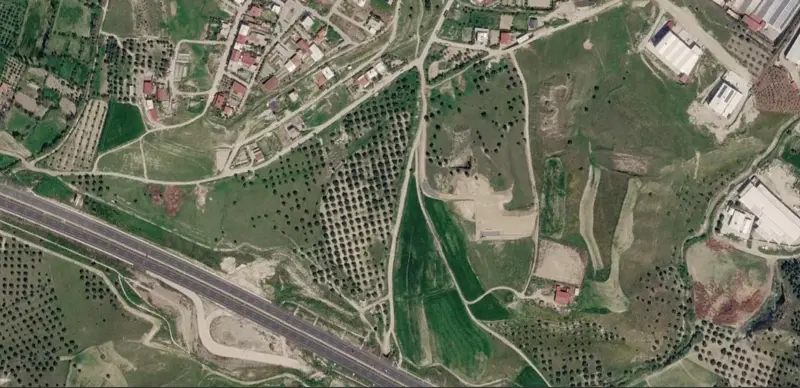 1566.jpg