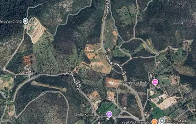 Muğla, Bodrum, Satılık, Tarla