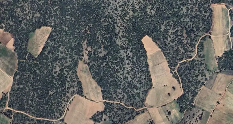 257.jpg