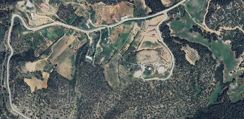 975.jpg