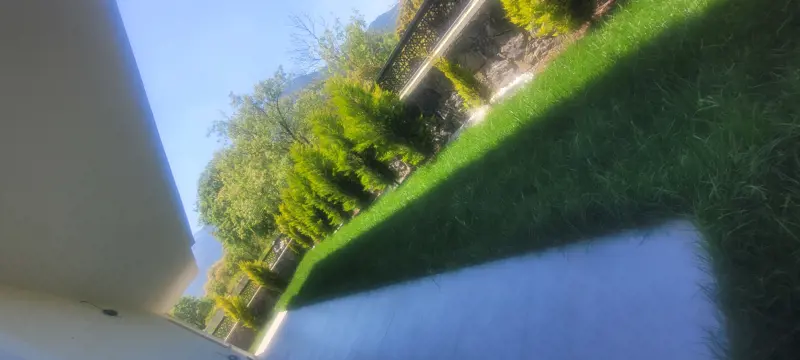 20260507_135310.jpg