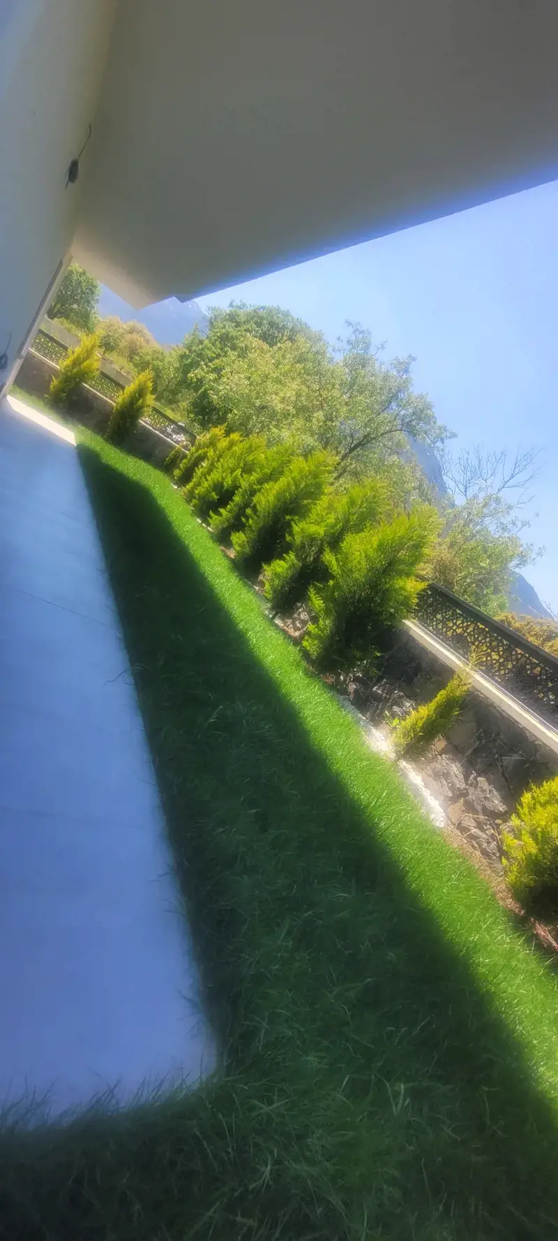 20260507_135310.jpg