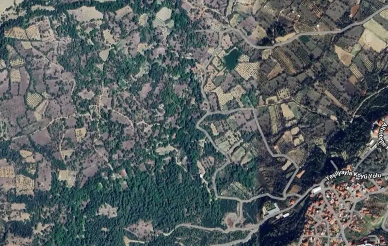 Denizli, Yeşilyayla, Tarla — fotoğraf 1