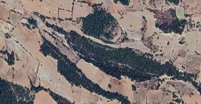 Denizli, Pamukkale, Satılık, Tarla