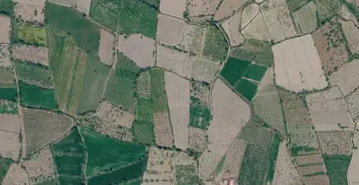 Denizli, Honaz, Satılık, Tarla