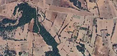 Denizli, Pamukkale, Satılık, Tarla