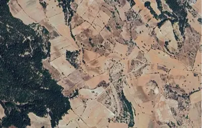 Denizli, Pamukkale, Satılık, Tarla