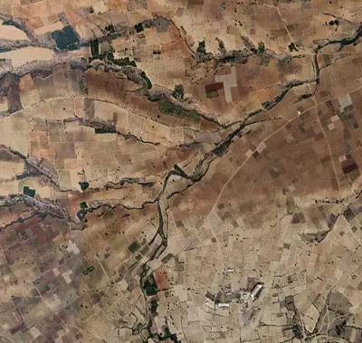 Denizli, Alfaklar, Tarla