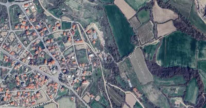 1618.jpg