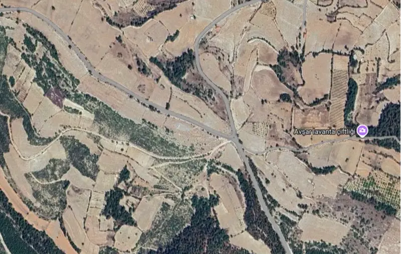 Denizli, Pamukkale, Satılık, Tarla — fotoğraf 1
