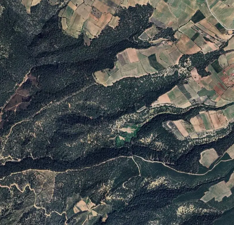 Ekran görüntüsü 2026-07-02 081508.png