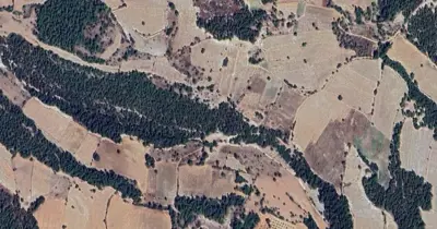 Denizli, Pamukkale, Satılık, Tarla