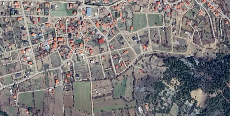 559.jpg