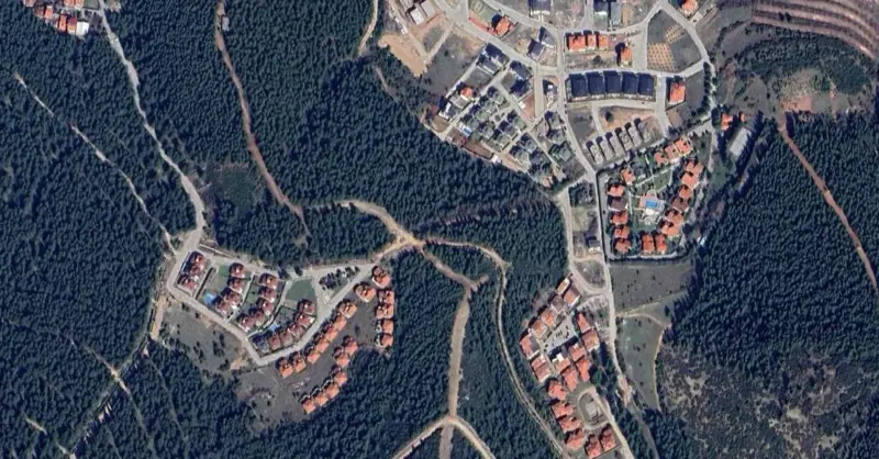 695.jpg