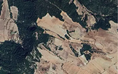 Denizli, Pamukkale, Satılık, Tarla