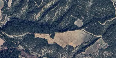Denizli, Pamukkale, Satılık, Tarla