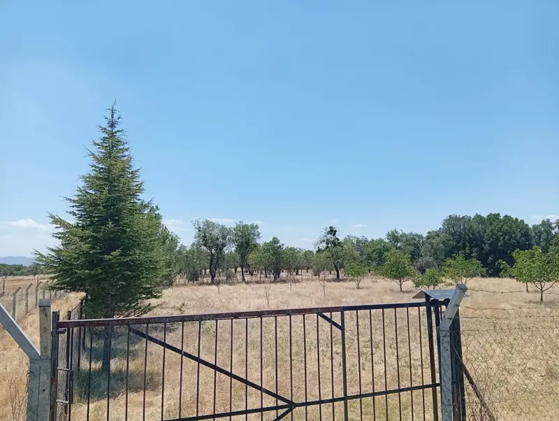 Denizli, Kızılcabölük, Tarla — fotoğraf 5