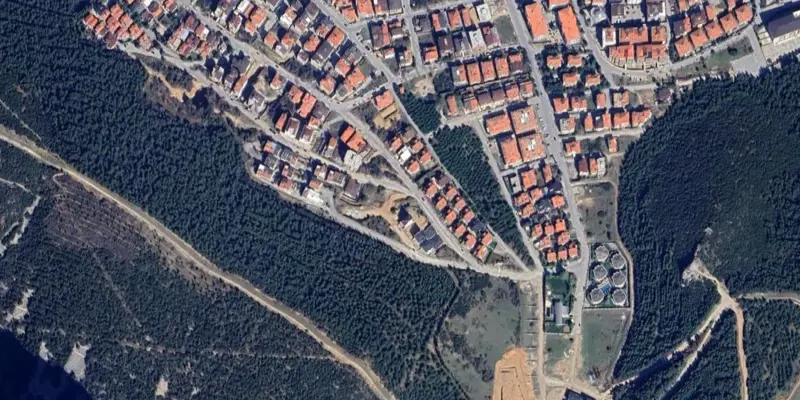 1547.jpg