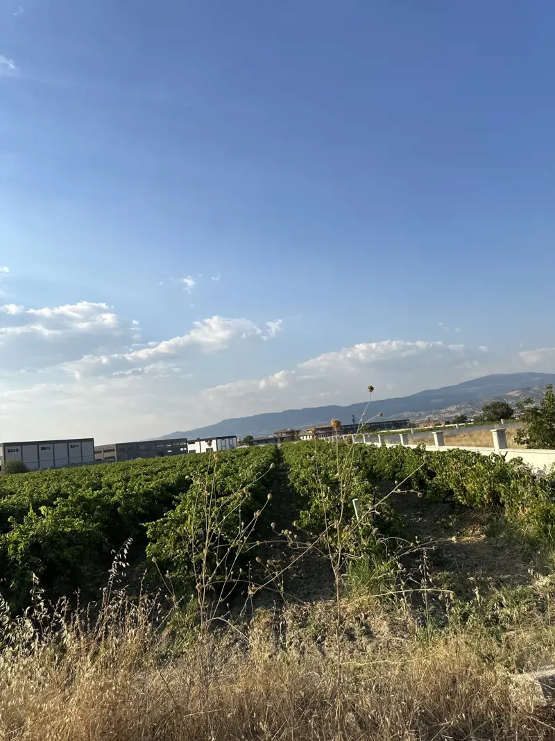 Denizli, Pamukkale, Satılık, Arsa — fotoğraf 2