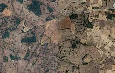 Denizli, Çal, Akkent Mah., Satılık, Tarla