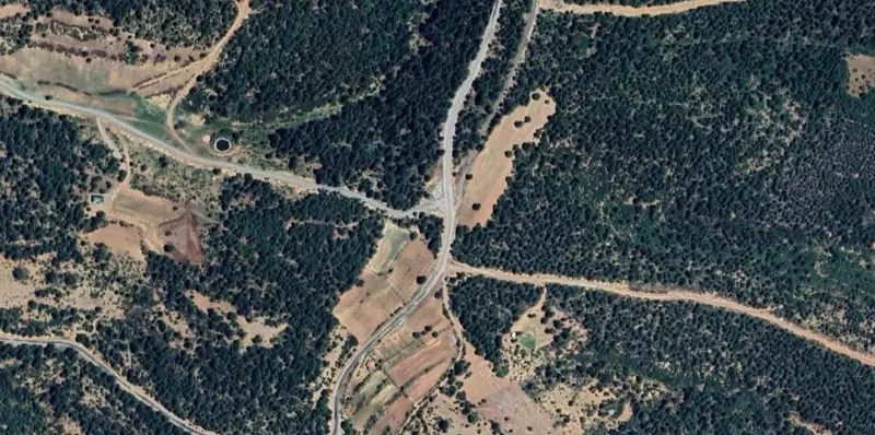 492.jpg