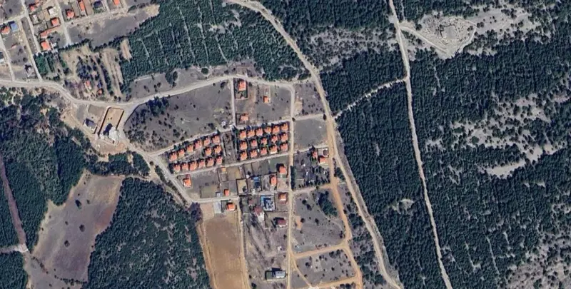 1531.jpg