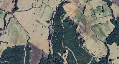 Denizli, Pamukkale, Satılık, Tarla