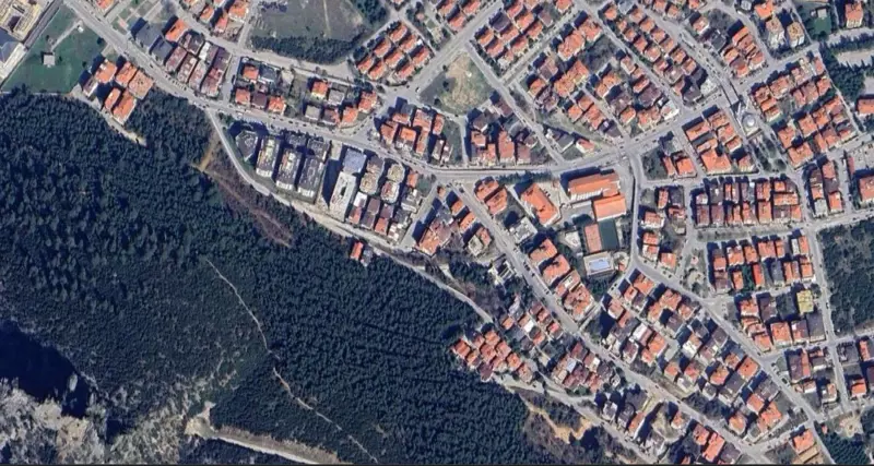 493.jpg